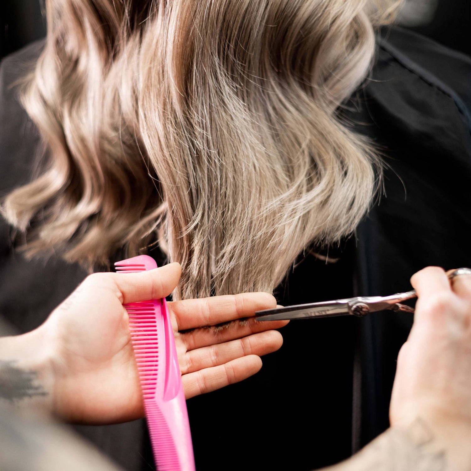 Löwenmähne Salon Spitzen schneiden